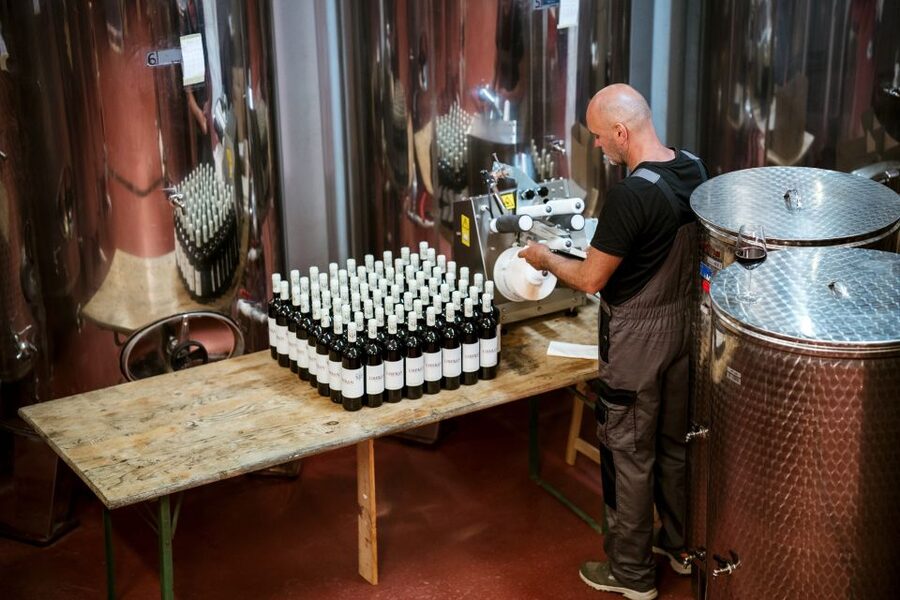 Pelješac wine tasting and local winery visit - What the host adds to the experience