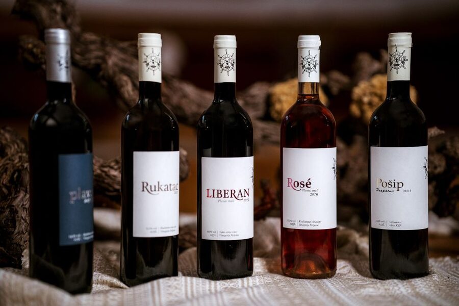 Pelješac wine tasting and local winery visit - A useful 90-minute plan