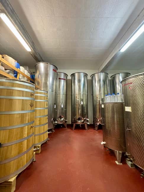 Pelješac wine tasting and local winery visit - Access, timing, and booking details