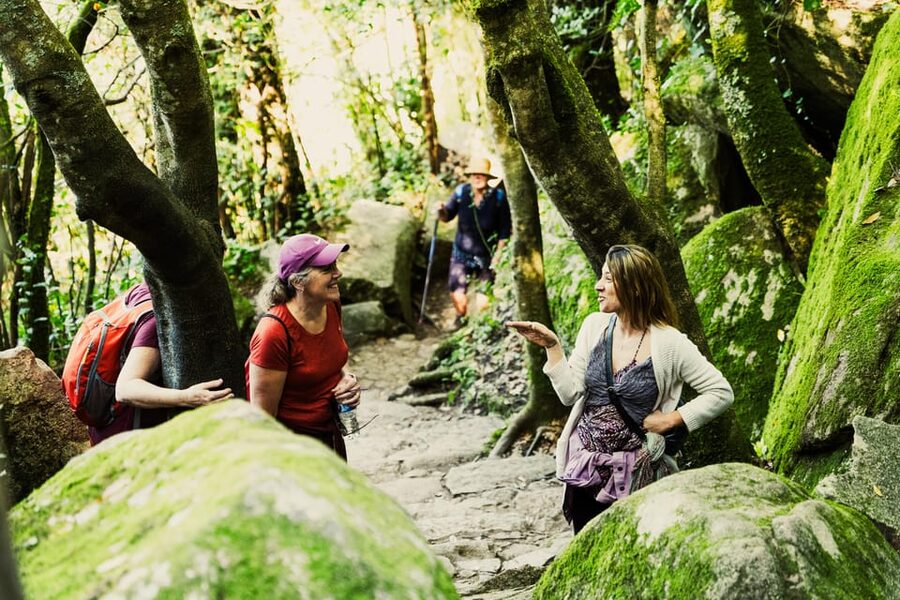 Pena Palace, Moorish Castle,Quinta ad Regaleira:Walking tour - Returning through Sintra