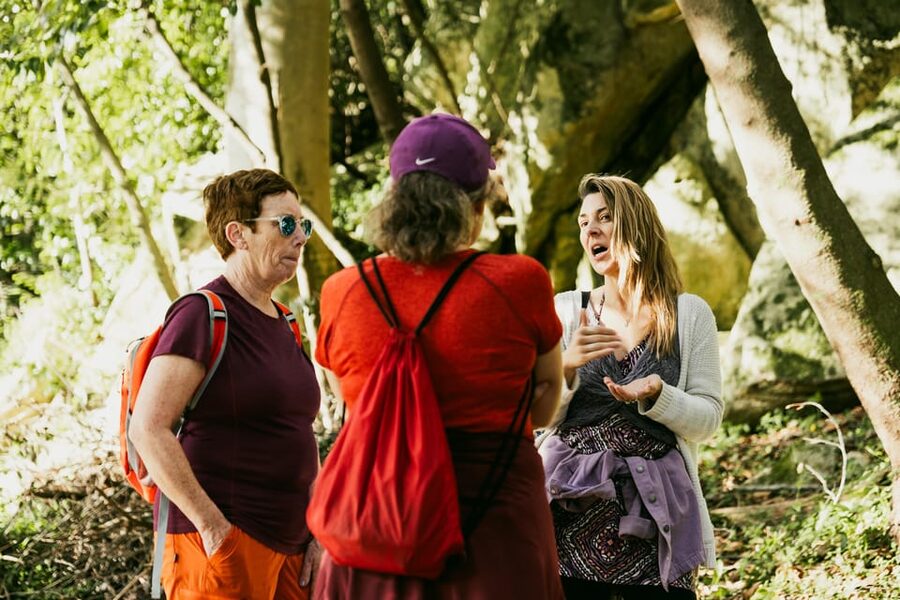 Pena Palace, Moorish Castle,Quinta ad Regaleira:Walking tour - Why this Sintra day is different