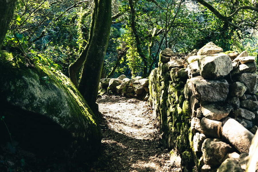 Pena Palace, Moorish Castle,Quinta ad Regaleira:Walking tour - Walking from the castle to Pena Palace