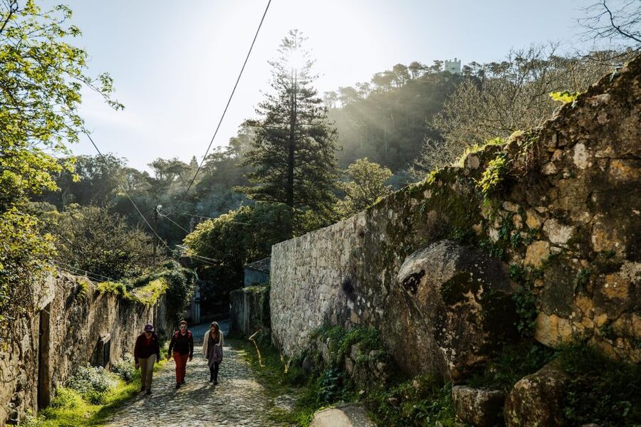 Pena Palace, Moorish Castle,Quinta ad Regaleira:Walking tour - Starting in Sintra’s old center
