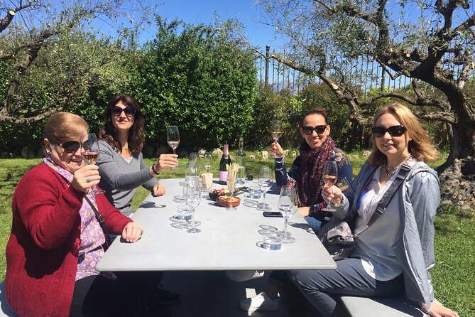 Penedes and Cava Winery Small Group Tour - Sant Sadurní d’Anoia, Catalonia’s cava capital