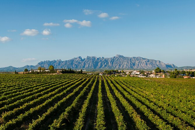 Penedes and Cava Winery Small Group Tour - Who will enjoy this tour most?
