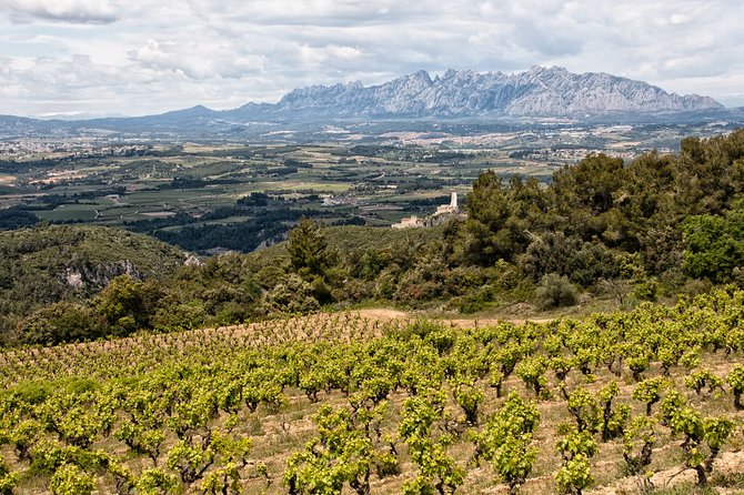 Penedes and Cava Winery Small Group Tour - Practical details before you reserve