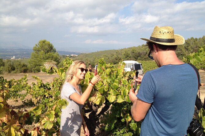 Penedes and Cava Winery Small Group Tour - Why the organic production matters