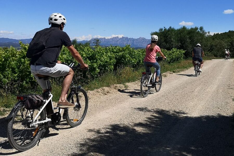 Penedès/BCN: Self-Guided eBike Tour with guided Winery Visit - Should you book the Penedès eBike tour?