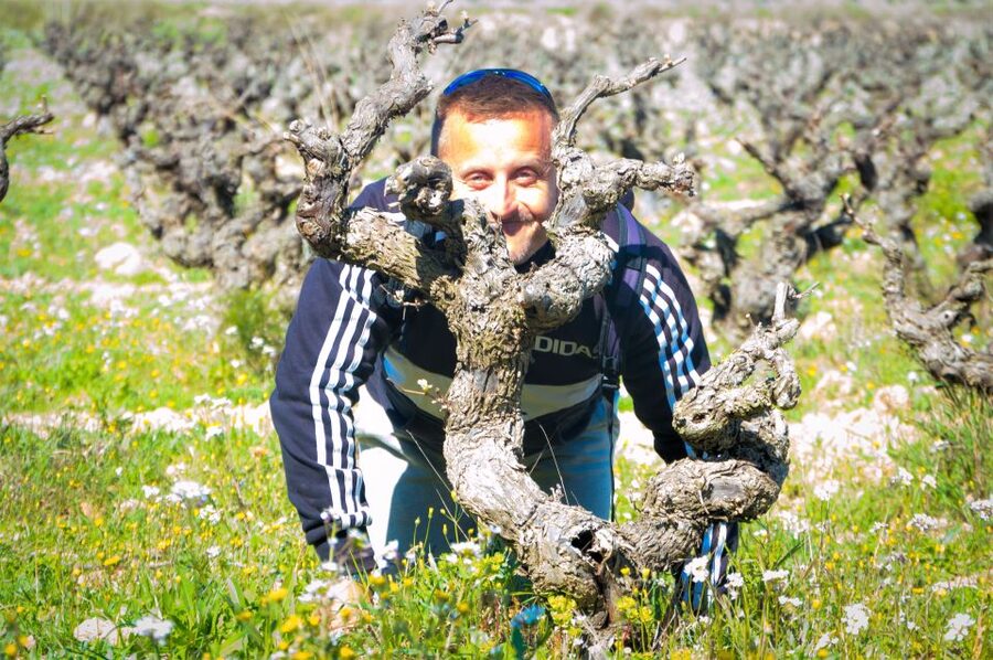 Penedès/BCN: Self-Guided eBike Tour with guided Winery Visit - Why Penedès works so well as a Barcelona day trip