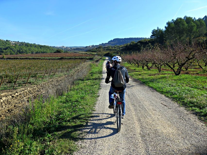 Penedès/BCN: Self-Guided eBike Tour with guided Winery Visit - What happens at the ecological winery