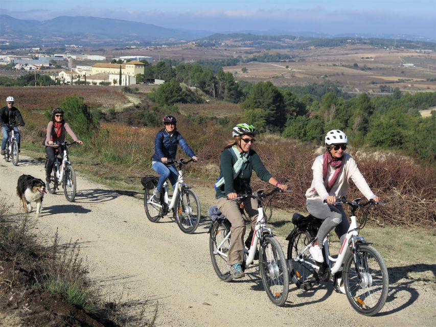 Penedès/BCN: Self-Guided eBike Tour with guided Winery Visit - Who will enjoy this experience most