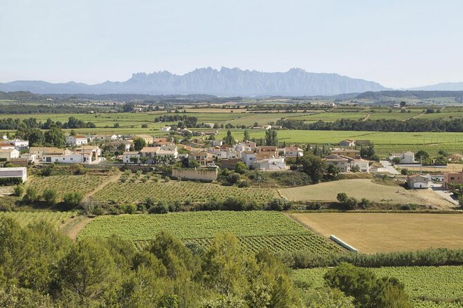 Penedes Wine & Cava Tasting & 4WD Vineyards Tour from Barcelona - At a glance: what makes this Penedes day trip worth considering