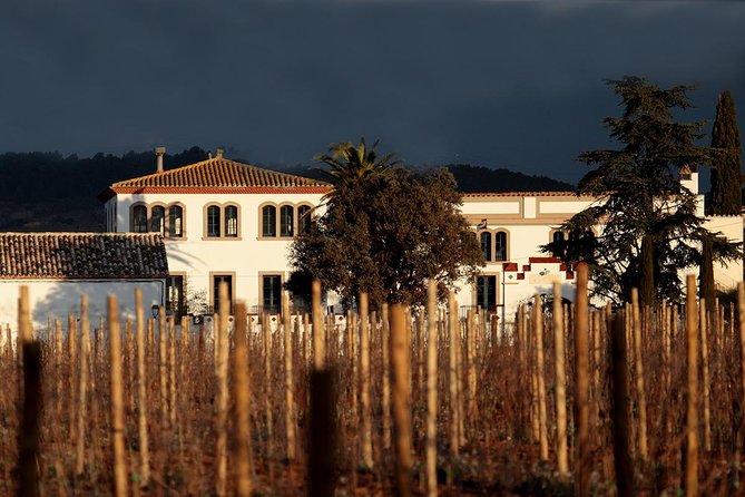Penedes Wine & Cava Tasting & 4WD Vineyards Tour from Barcelona - Who will enjoy this tour most?