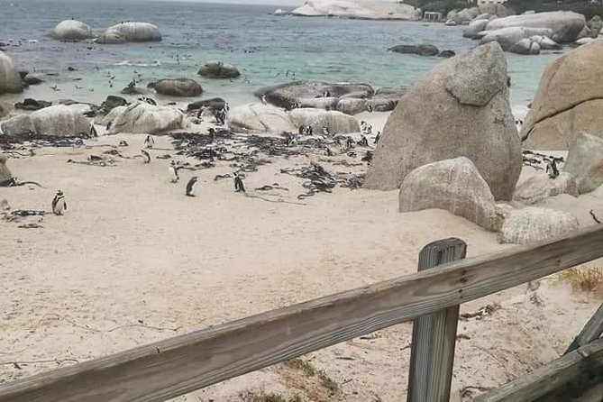 Penguins Viewing, Cape of Goodhope and Winelands Region - The coastal drive and the turn toward Constantia