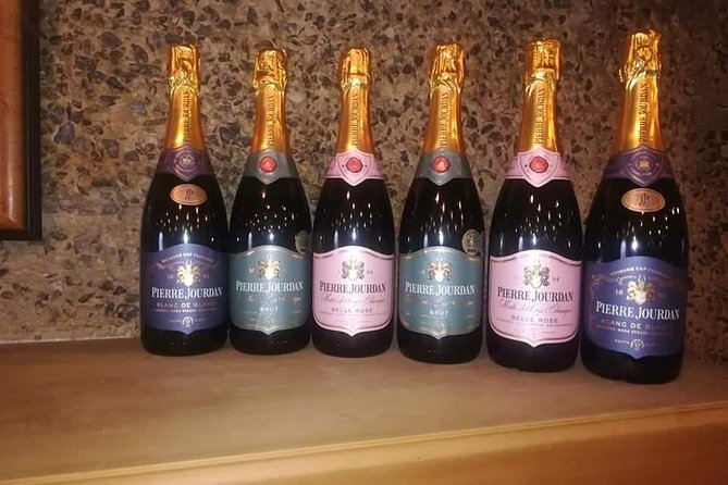 Penguins Viewing, Cape of Goodhope and Winelands Region - Wine tasting without losing the day