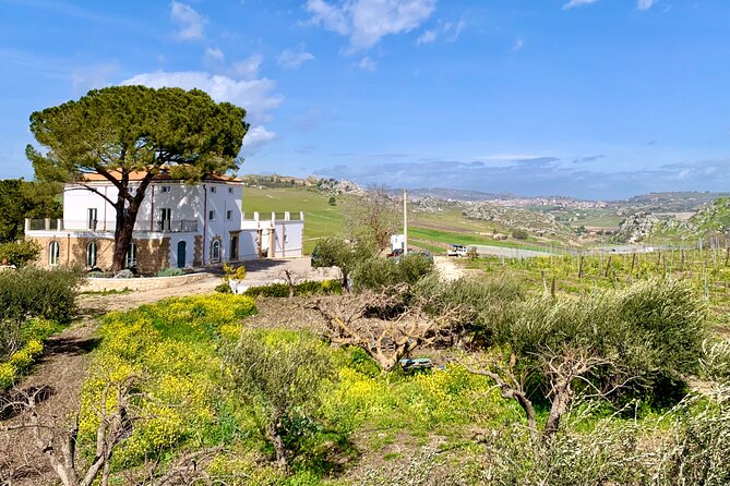 PIAZZA ARMERINA and WINERY - Private Tour starting from Agrigento - What the private guide changes