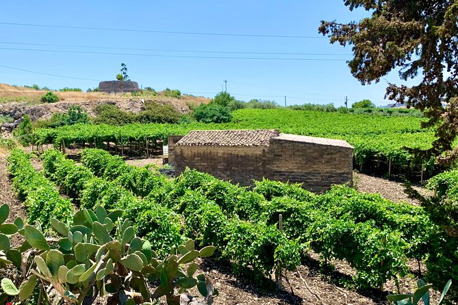 PIAZZA ARMERINA and WINERY - Private Tour starting from Agrigento - Who should book this experience?