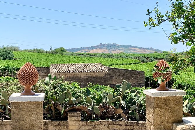 PIAZZA ARMERINA and WINERY - Private Tour starting from Agrigento - Final verdict: a strong private day for the right budget