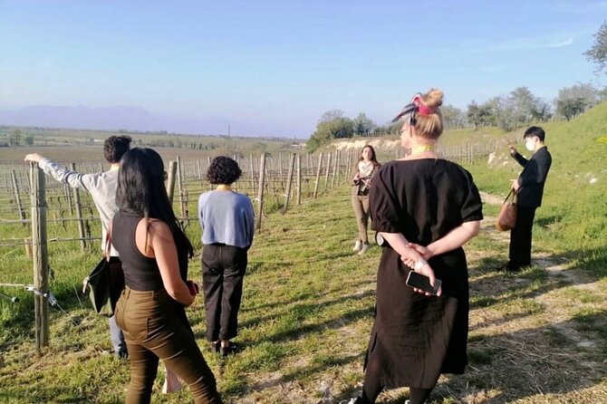 Picnic and Lugana Tour at Perla del Garda winery - Touring the cellar with a personal guide