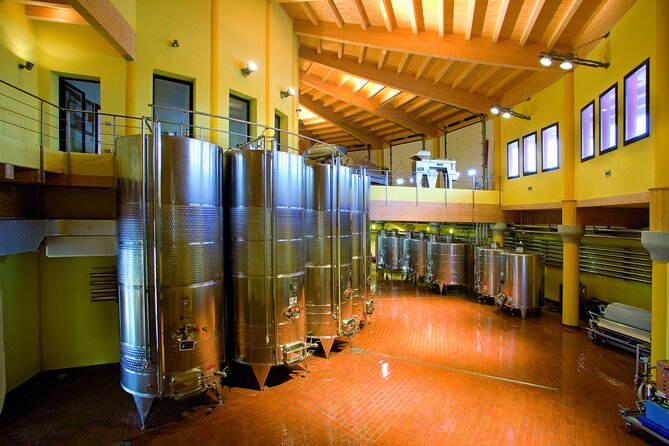 Picnic and Lugana Tour at Perla del Garda winery - Should you book this winery picnic?