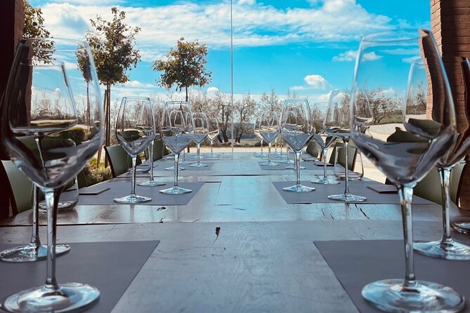 Picnic and Lugana Tour at Perla del Garda winery - Lugana and the wines in your glass