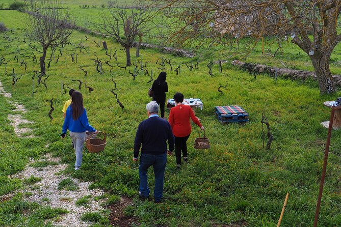 Picnic aperitif in the vineyard of an ancient trullo in Martina Franca - Meeting Fabrizio and Antonio at 7 pm