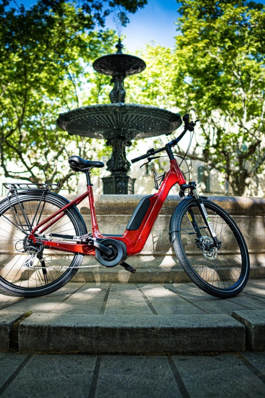 Picnic in the middle of a vineyard by e-bike - Is $51 a fair price?