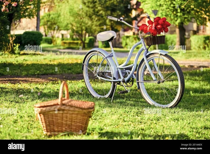 Picnic in the middle of a vineyard by e-bike - FAQ
