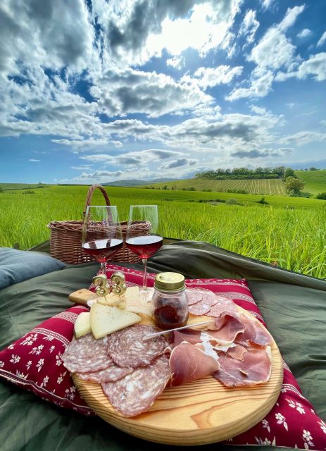 Picnic in the organic vineyards of Brunello - A Tuscan picnic with Brunello country as your dining room