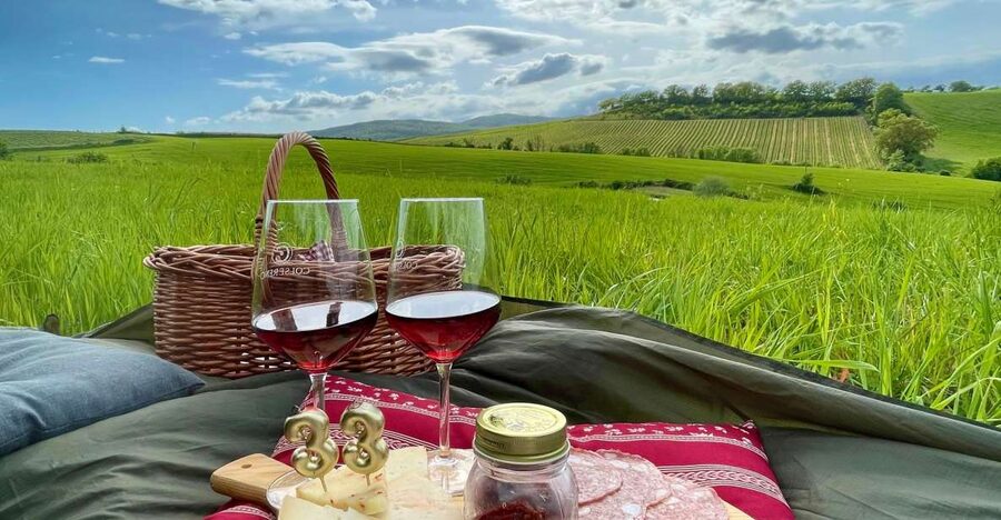 Picnic in the organic vineyards of Brunello - Why the organic vineyard setting matters