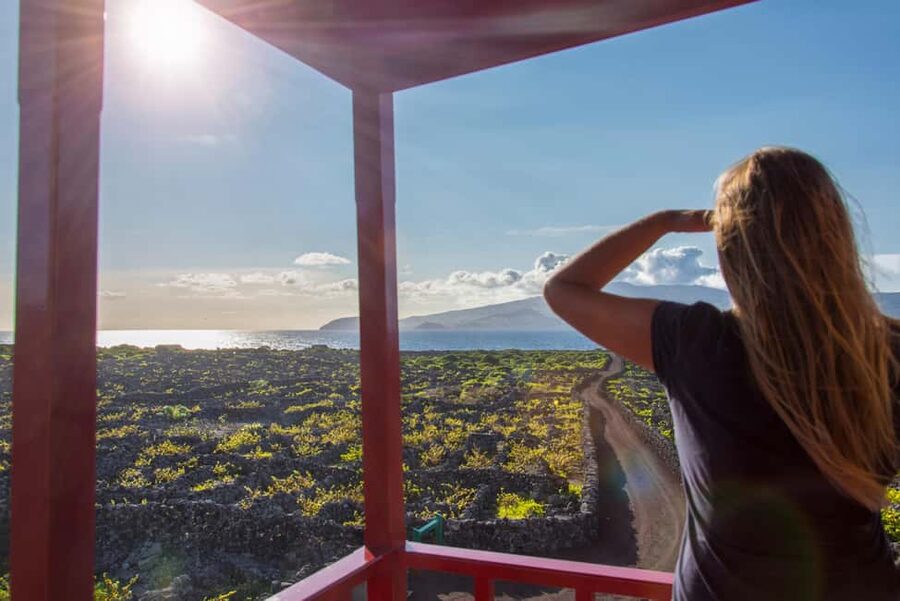 Pico Island: Wine and Vineyards Tour with Tasting - Key points to know before you book