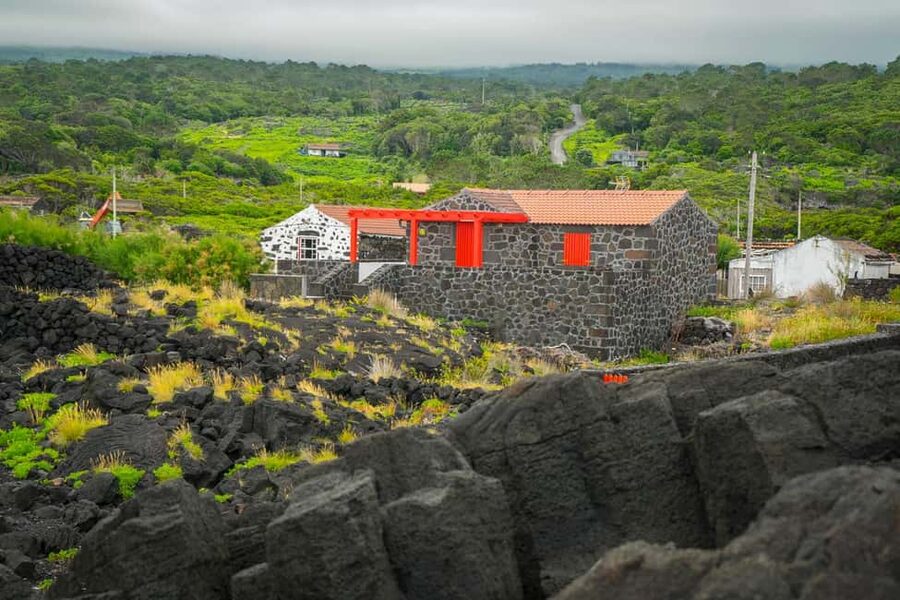 Pico Island: Wine and Vineyards Tour with Tasting - Why Pico’s vineyards look unlike ordinary wine country