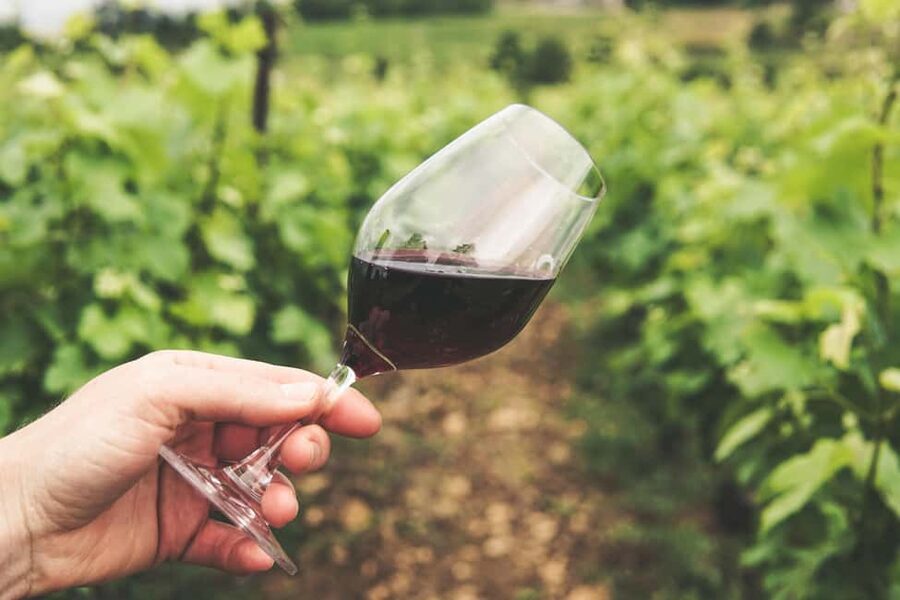 Pico Island: Wine and Vineyards Tour with Tasting - The tasting lasts 45 minutes
