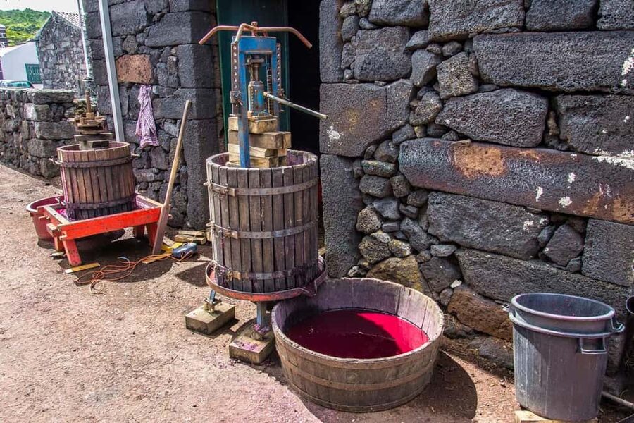 Pico Island: Wine and Vineyards Tour with Tasting - Small-group size and guide languages