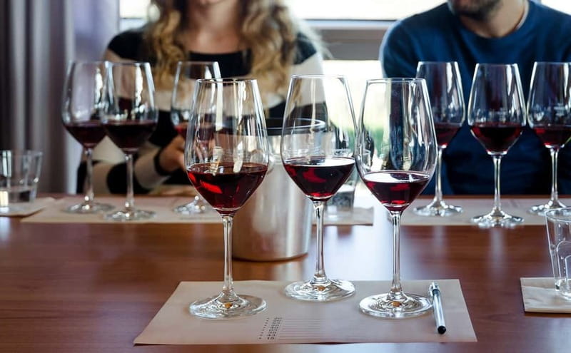 Piedmont: Winery Tour, Taste Barolo, Barbaresco & Local Food - A short walk through Barolo country