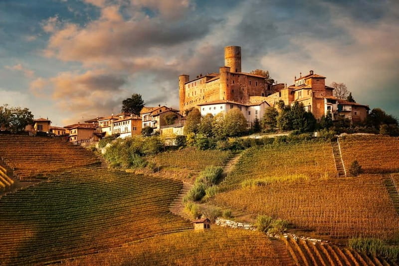 Piedmont: Winery Tour, Taste Barolo, Barbaresco & Local Food - Seven wines, from Barbera to Barolo