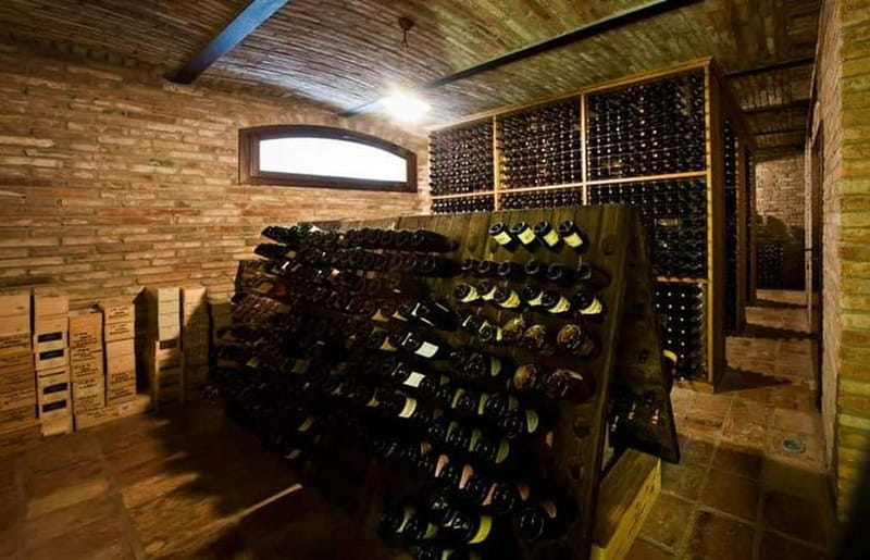 Piedmont: Winery Tour, Taste Barolo, Barbaresco & Local Food - What the $58 price includes