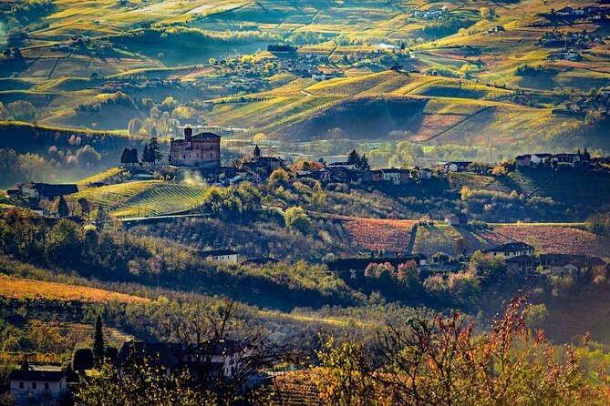 Piedmont Winery Tour: Taste Barolo, Barbaresco & Traditional Food - Cheese, salami, focaccia, and local extras
