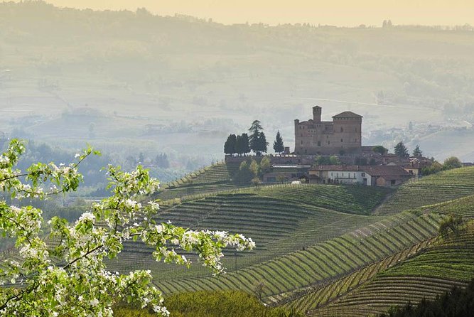 Piedmont Winery Tour: Taste Barolo, Barbaresco & Traditional Food - Group size, timing, and the feel of the room