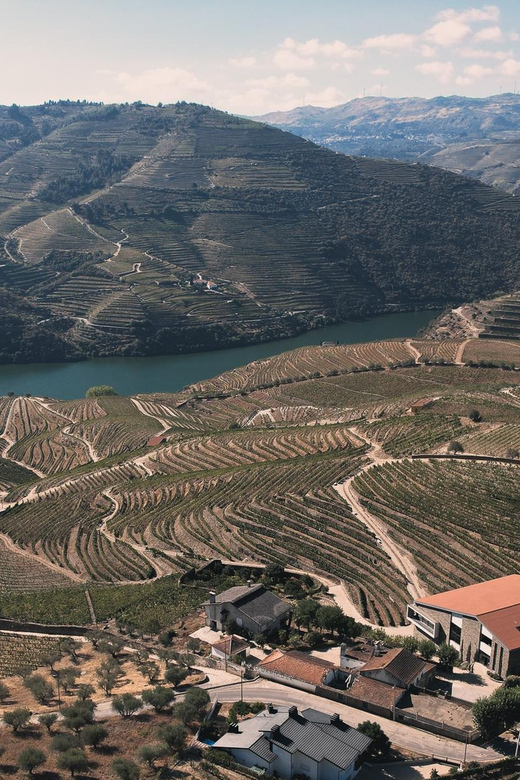 Pinhão: Quinta da Formigosa Vineyard Tour and Wine Tasting - Inside the winery, from grape to bottle