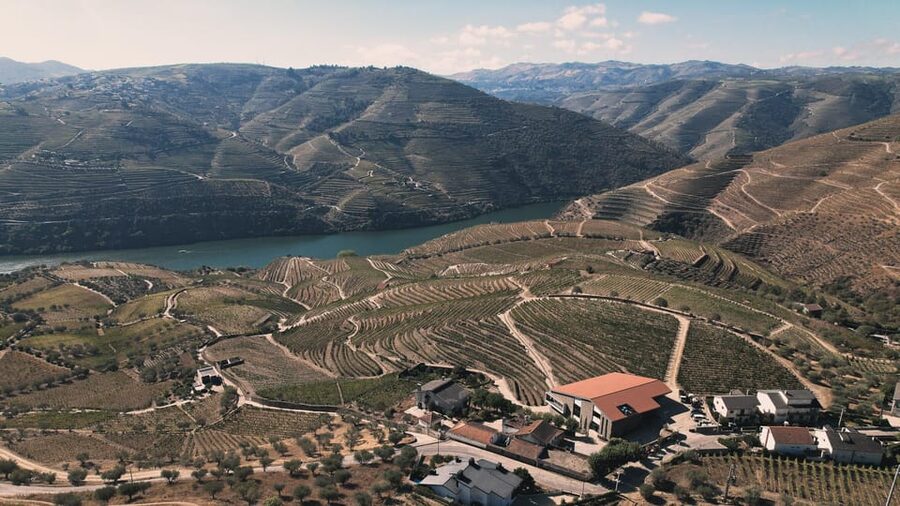 Pinhão: Quinta da Formigosa Vineyard Tour and Wine Tasting - What $35 buys you