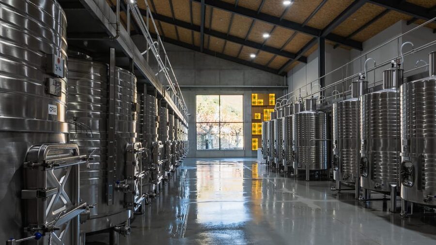 Pinhão: Quinta da Formigosa Vineyard Tour and Wine Tasting - Which guide experience should you expect?