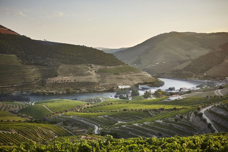 Pinhão: Quinta do Bomfim Visit and Tasting - Start with photographs and family records