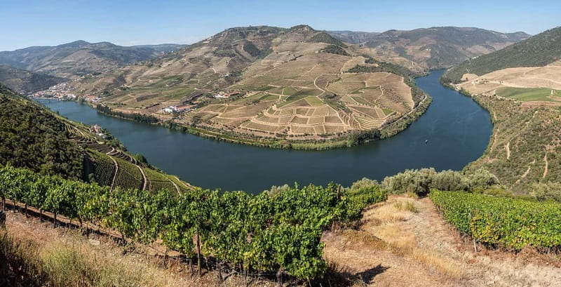 Pinhão: Rabelo Boat Cruise with a Port Tasting at a Winery - Practical tips for a smoother visit