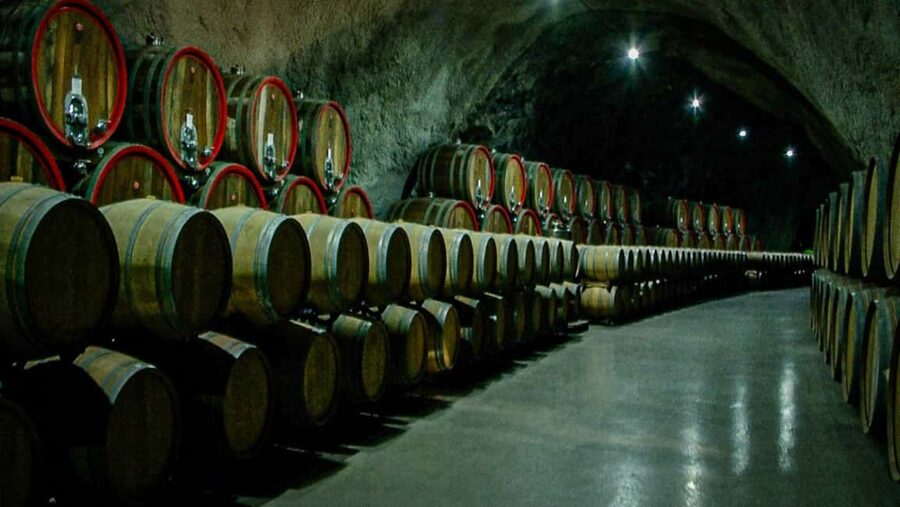 Podgorica by E-Bike: Vineyards, Wines & Waterfalls - Returning by e-bike to the city
