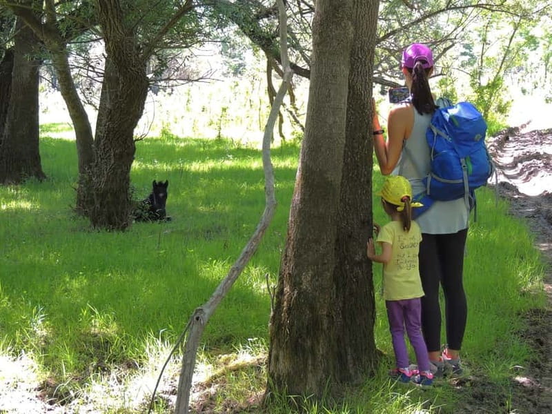 Podgorica Historic, Safari and Winery tour - Skadar lake - Why this private Skadar Lake day works