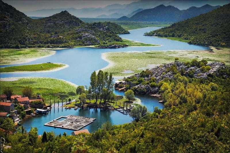 Podgorica Historic, Safari and Winery tour - Skadar lake - Bisevina savanna and the wild-horse question