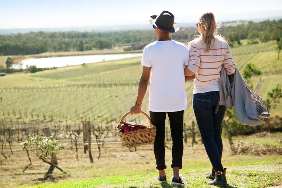 Pokolbin: Picnic & Wine Tasting at Audrey Wilkinson Vineyard - Key points at a glance