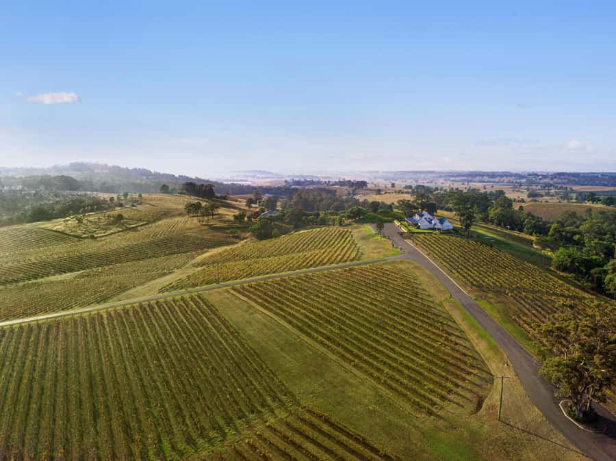 Pokolbin: Picnic & Wine Tasting at Audrey Wilkinson Vineyard - Arriving at Audrey Wilkinson in Pokolbin