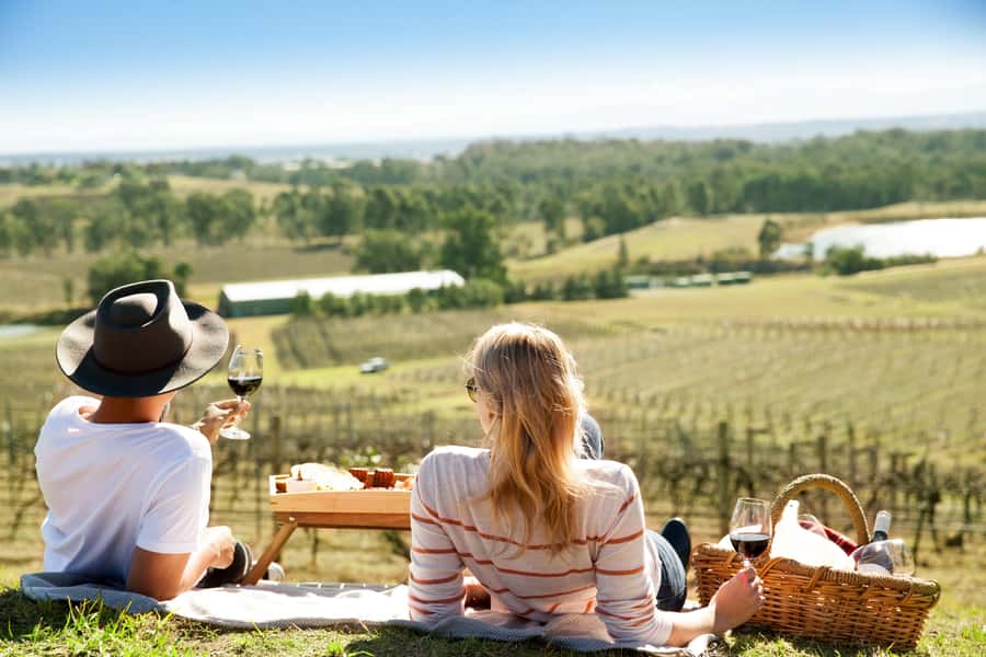 Pokolbin: Picnic & Wine Tasting at Audrey Wilkinson Vineyard - What happens during the wine master class